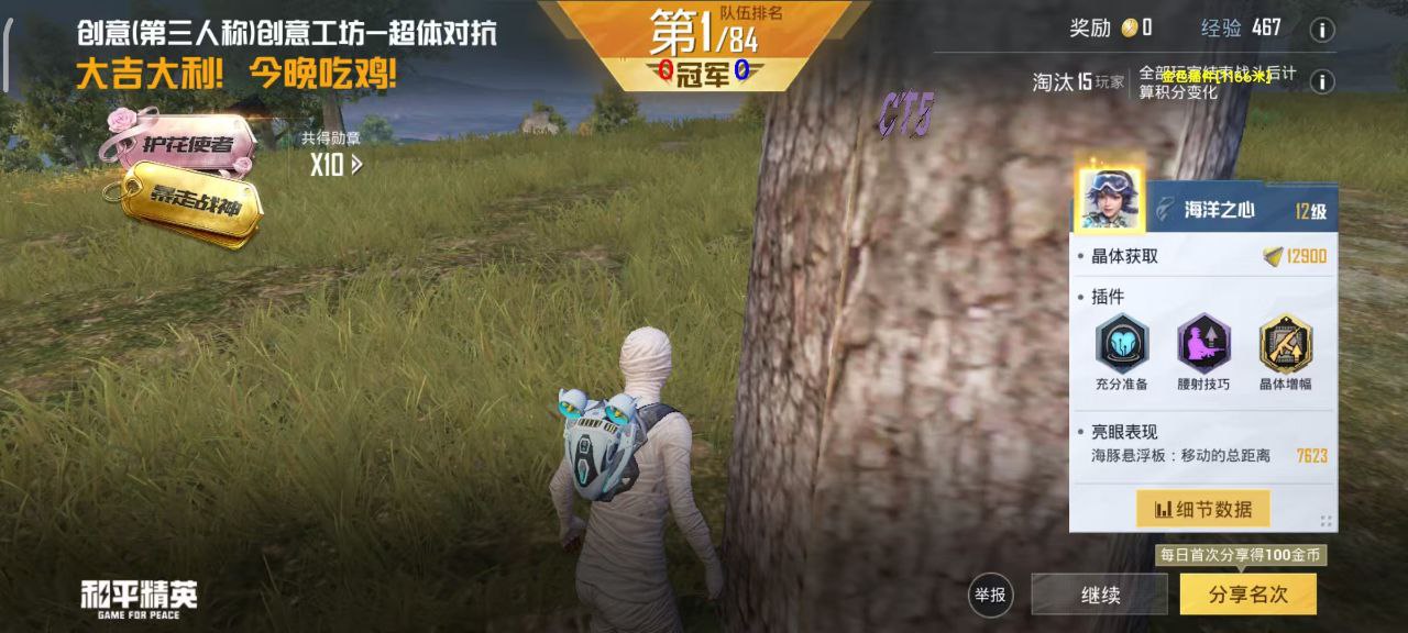 鸡腿辅助外挂和平精英