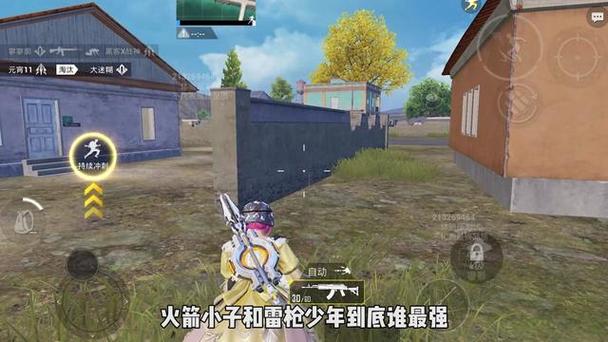 和平精英外挂与外挂打架